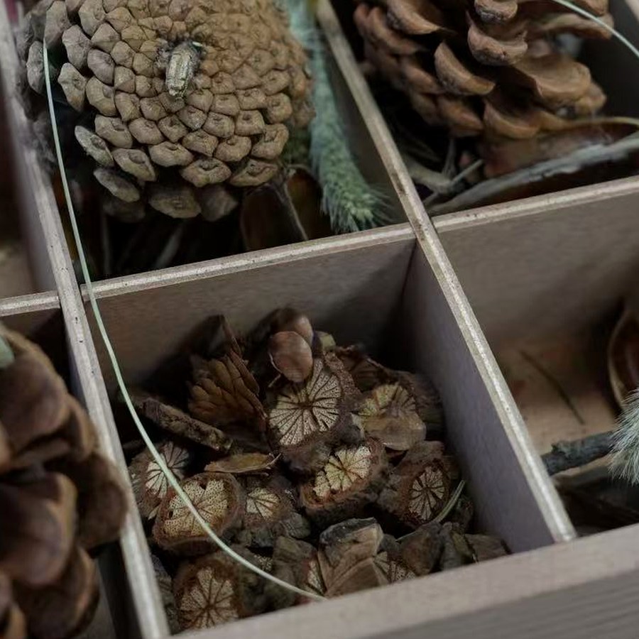 苔藓小鹿微景观