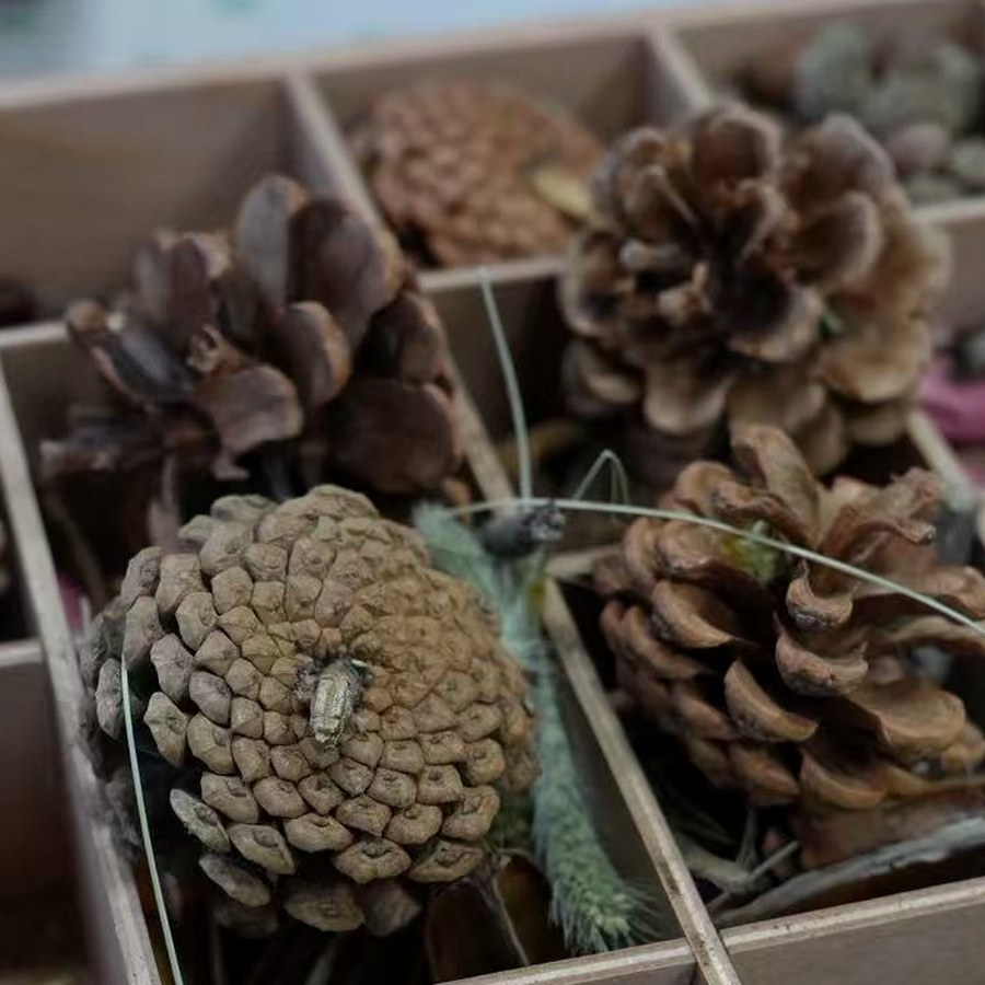 松果胸针手作款