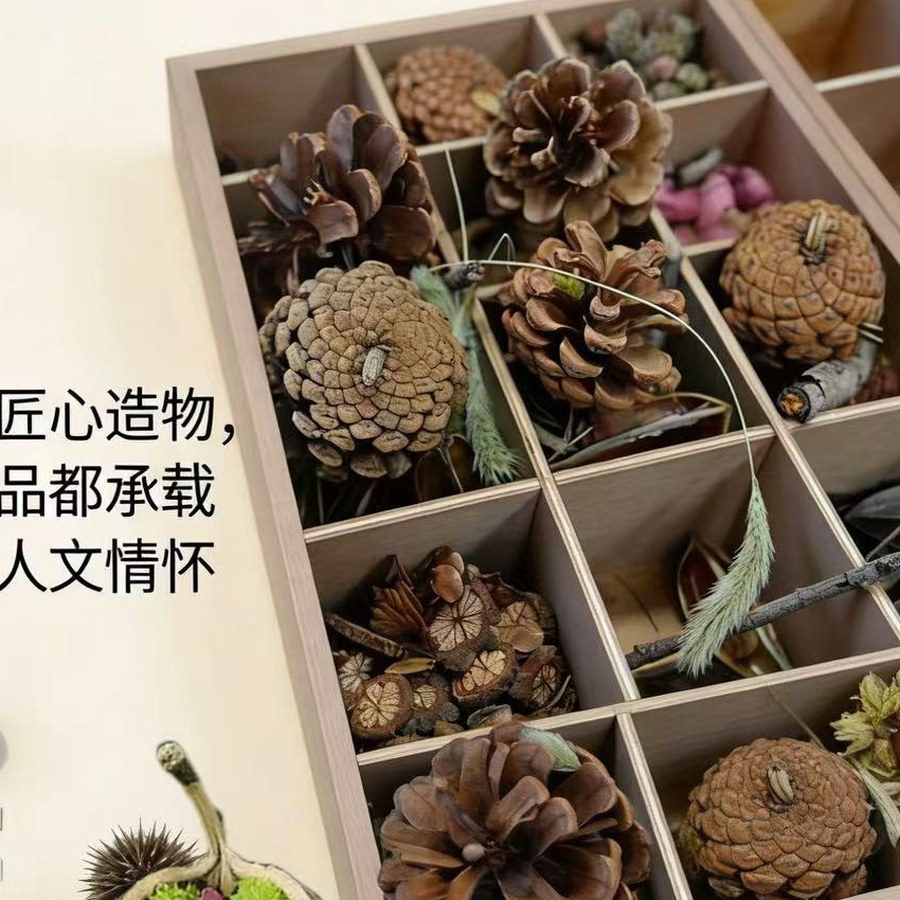 苔藓瓶景材料套装