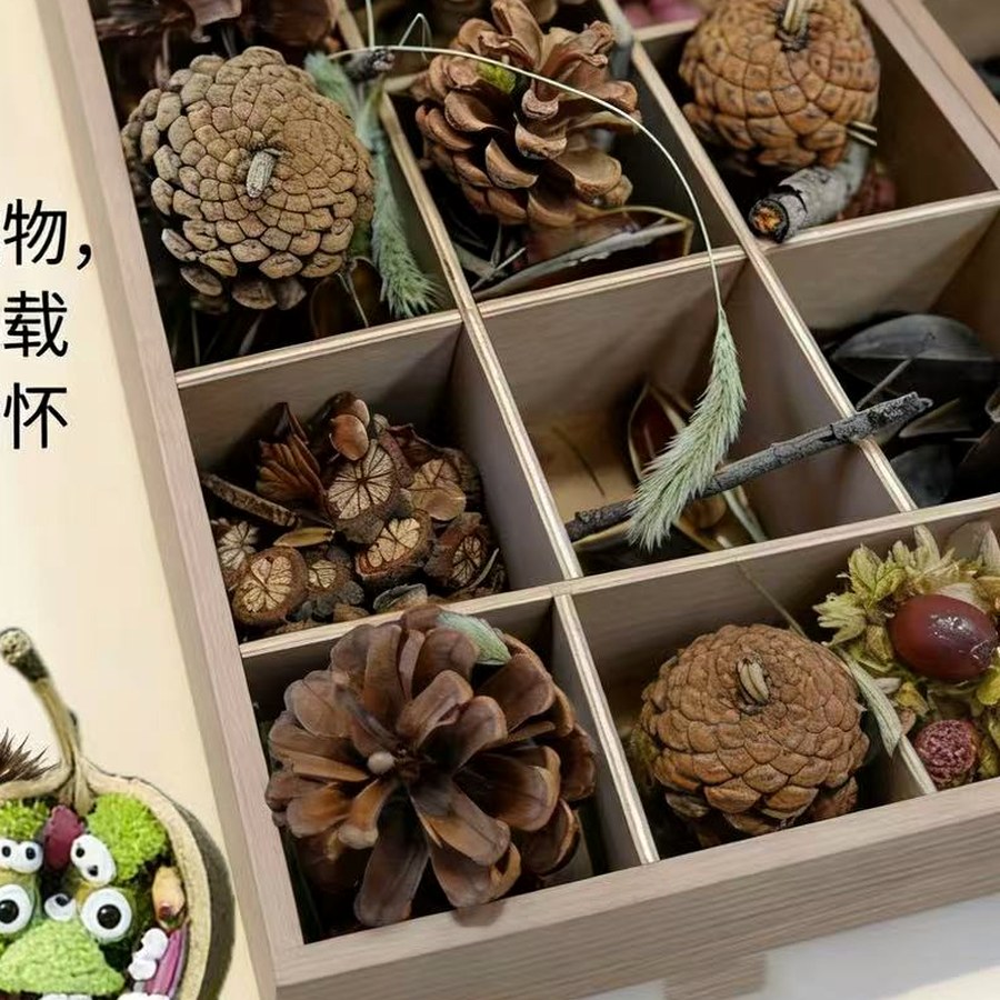 自然系发夹套装